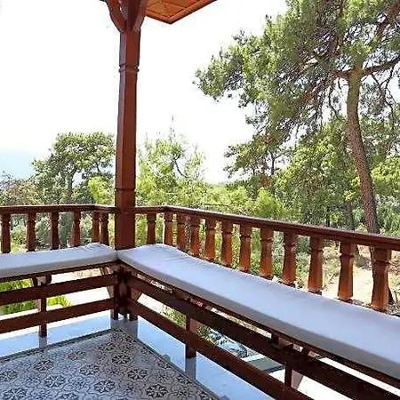 호텔 Alp Pinehill